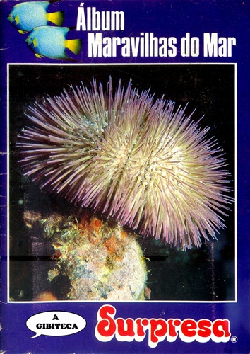 Download de Revista  Livro Ilustrado Surpresa - Maravilhas do Mar